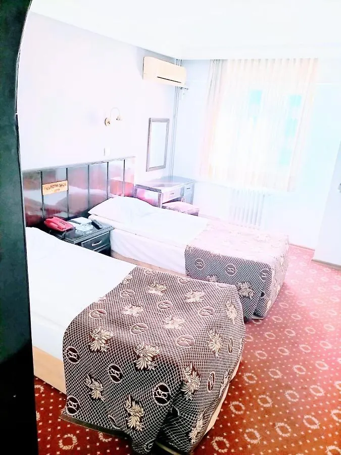 Spor Hotel 앙카라 2*,